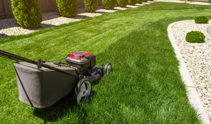Lawn Mowing