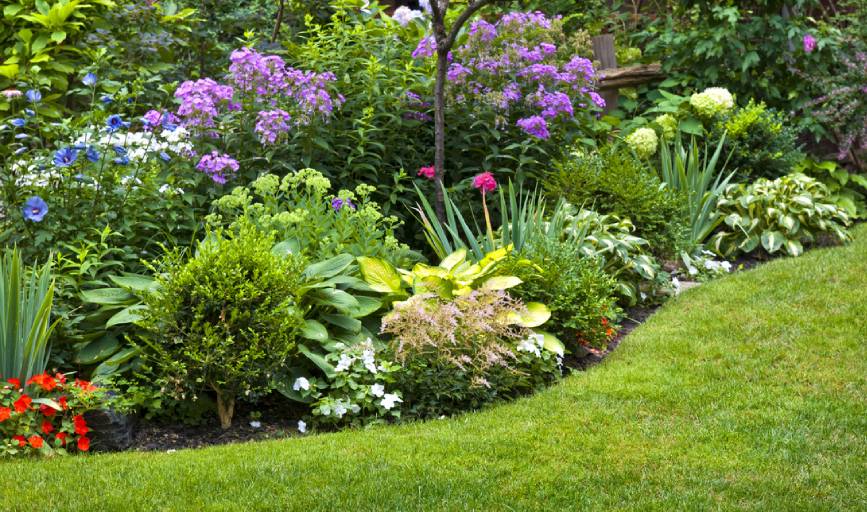 Gardening