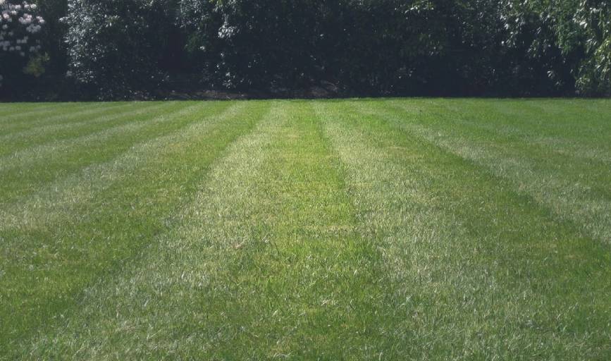 Lawn Care Services